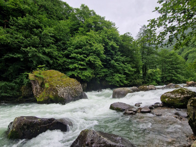 images